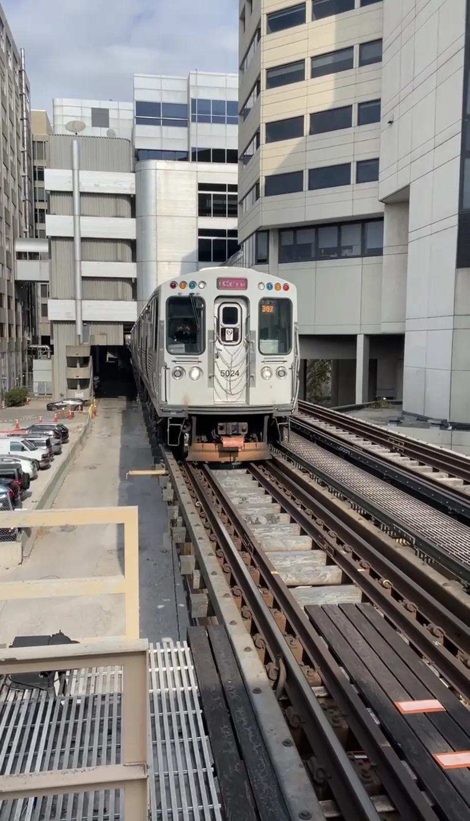 Pink Line train from the CTA L Crawl campaign