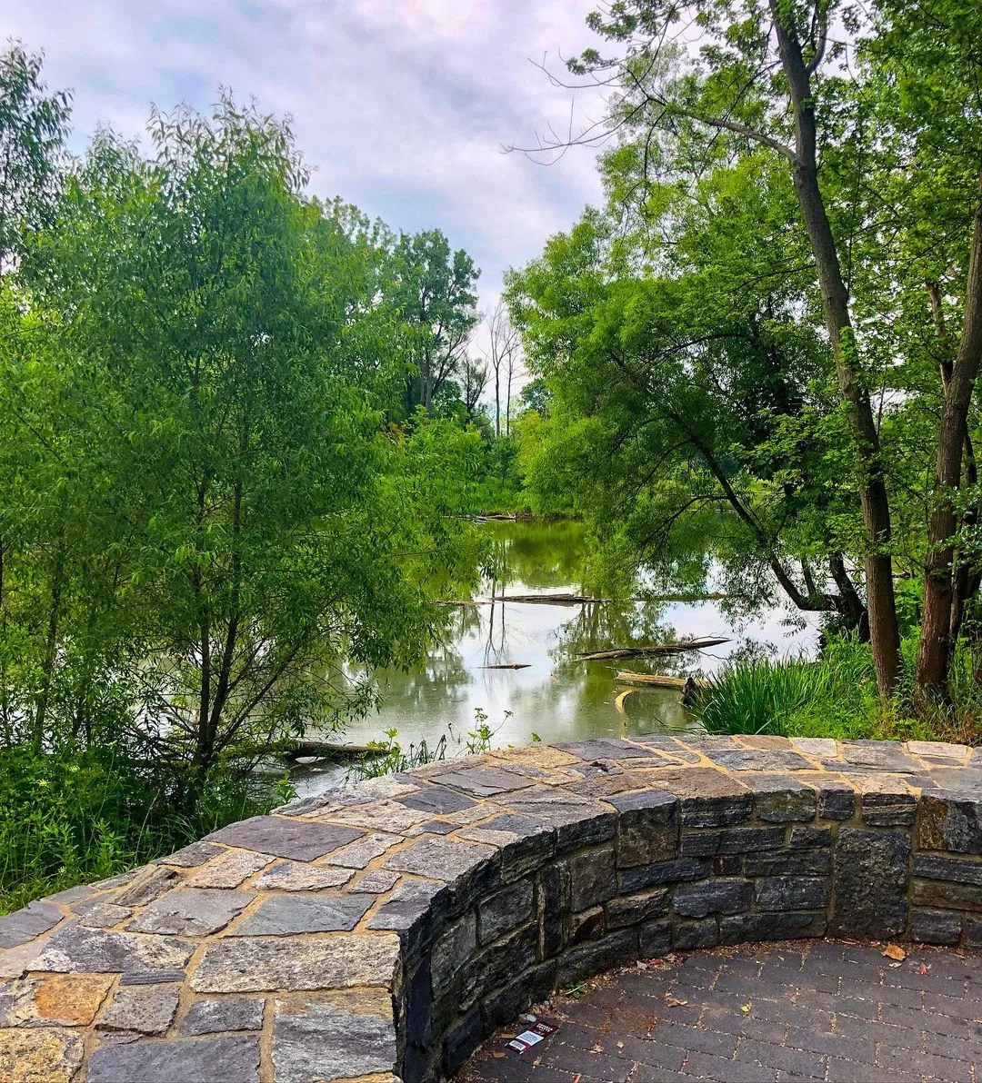 The pond and stone overlook at West Ridge Nature Preserve in Chicago